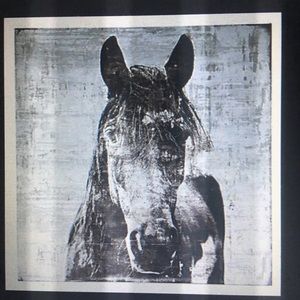 Meet your Posher, Frederick